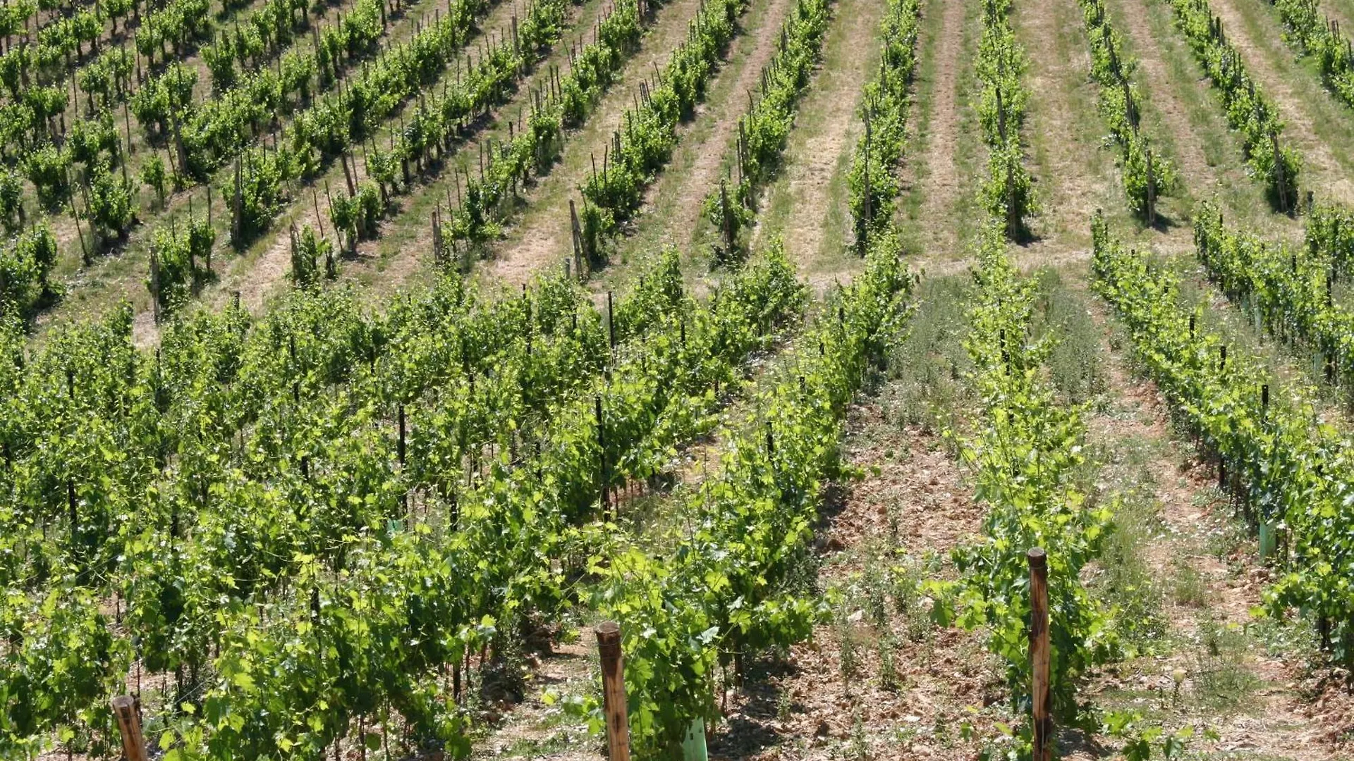 Le Terrazze Del Chianti B&B Residenza D'Epoca E Di Charme San Donato in Poggio 3*,  Italy